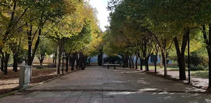 پارک نمازی