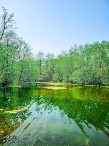 دریاچه صارم