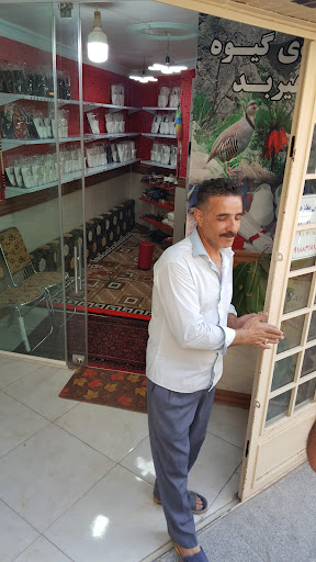 تولیدی گیوه هیربد