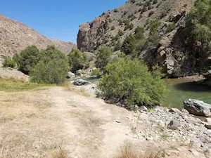 کوچه مولوی