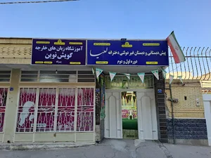 آکادمی زبان گویش نوین
