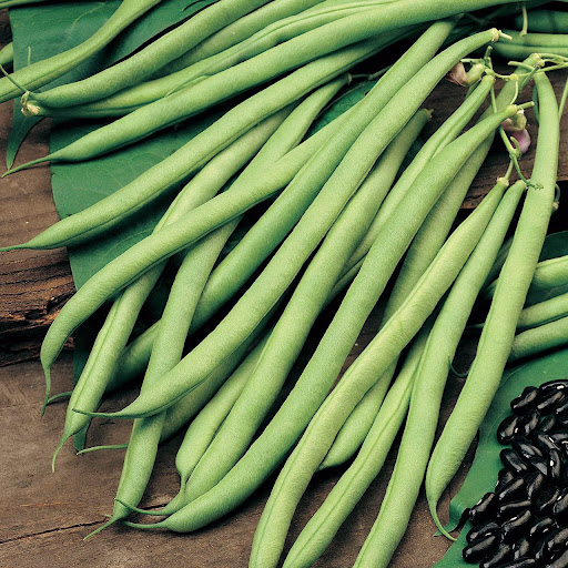 تهیه غذا حاجی ناصرفتاحی