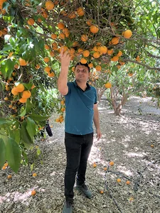 فروشگاه کشاورزی شنبدی shanbadi_agri
