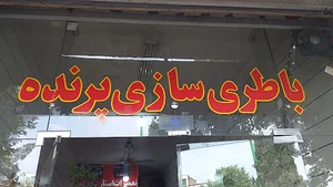 باتری سازی پرنده