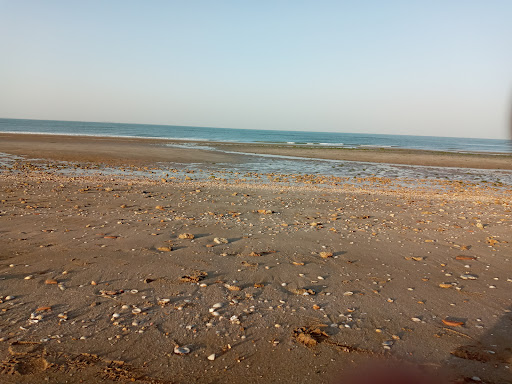 بوستان ساحلی هامون