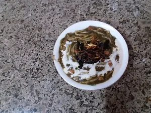 دزدگیر آپادانا