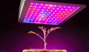 Fars LED eShop