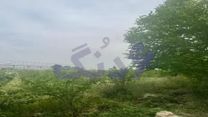 شاهد شهر خیابان پلیس نبش کوچه گل آرا۶