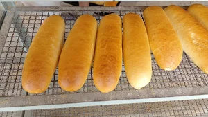نانکده فانتزی گندم زار