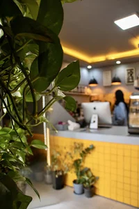 Cafe Lavie كافه لاوى