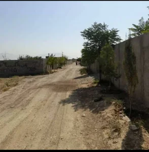 خیابان رز