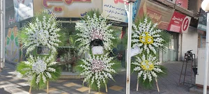 سبزوارگلفروشی گل یخ