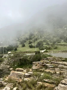 تنومة