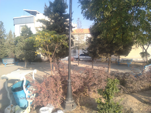 پارک مالیات