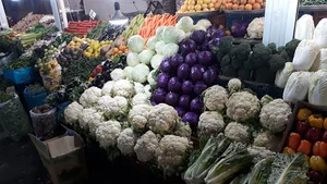 هایپر مارکت و میوه نوری