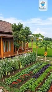 با کی دوست داری توی این مزرعه زندگی کنی ؟ بفرست براش 🥹🌱