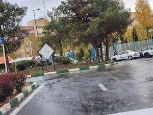 میدان ورزش