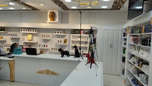 موبایل پیشگام+شعبه دوم
