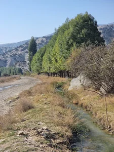 روستای جهان نما