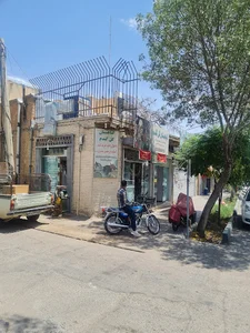 گیاهستان گل گندم