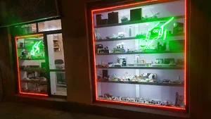 الکتریکی ساحل روشن( ماجدی اصل)