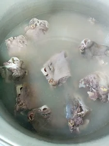 کله پزی شاخ طلا