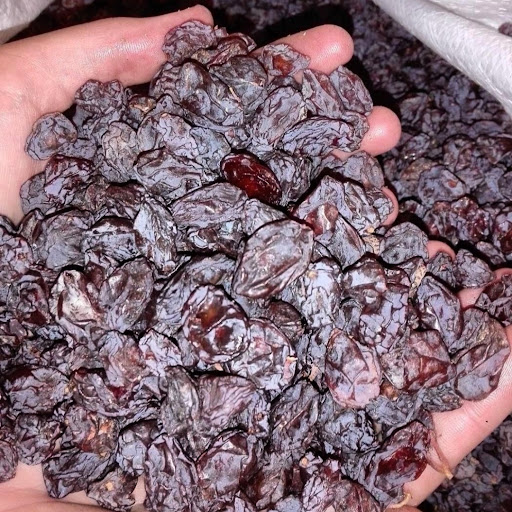 پخش کشمش عابد