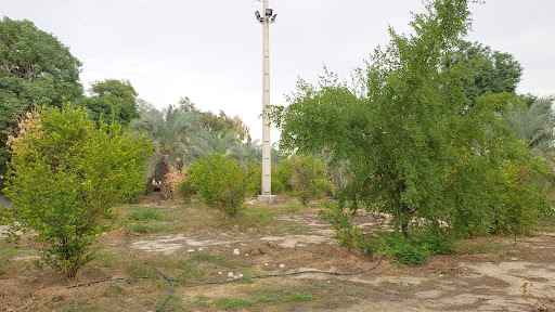 omid farda Garden