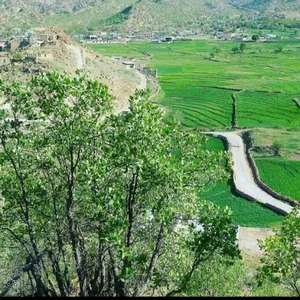 میمند یاسوج