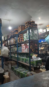 بازرگانی آلفا یدک