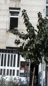 قفل و کلید سازی