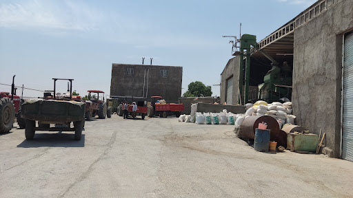شرکت خدمات کشاورزی قنوت گندم