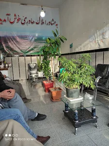 املاک هاوری