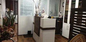 بیمه رازی