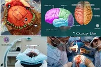 Dr - Afsoun & Amirsaid Seddighi (VIP Clinic)