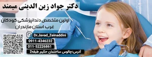 جواد زین الدینی میمند