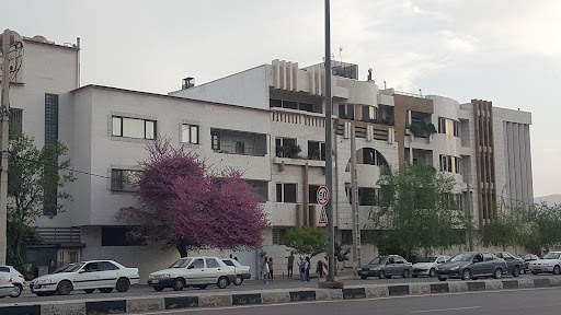 Judas Tree - درخت ارغوان