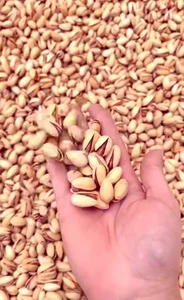 آجیل و خشکبار بارنو 2