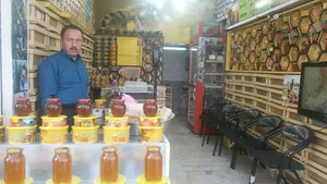 عسل تقی زاده