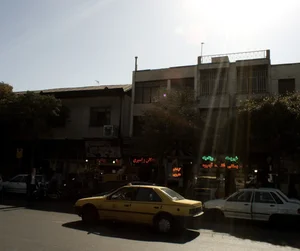 گیاهان دارویی 2