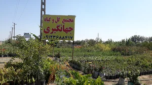 مجتمع گل و گیاه جهانگیری