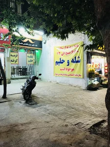 حلیم عموحیدر