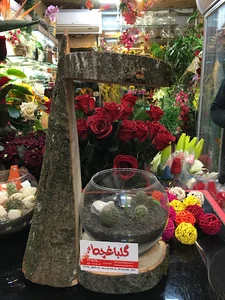 گلباغچه