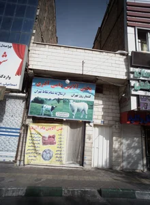 پخش آلایش دامی آذری