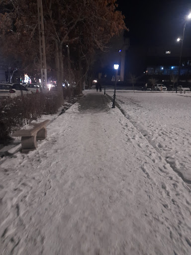 پارک ارتش