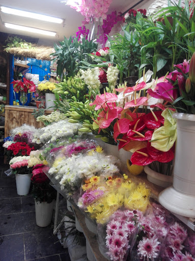 آقای گل فروش