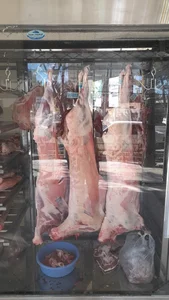 هایپر گوشت سلطان 4