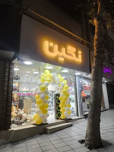 کیف و کفش نگین