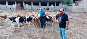 دامداری محمدرضااسماعیلی
