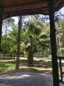 بوستان ولیعصر (بوستان خانواده) 3